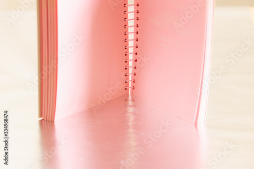 diary, order, journal, description, organizer, notepad, clerk, assessment, notes, print, routine, week, data, records, records, offense, abundance, work plan, mnemonics