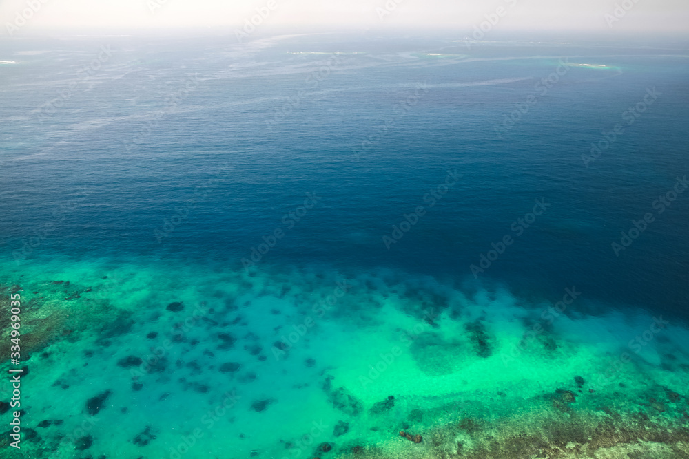 Persian Gulf seascape, rocky seabed