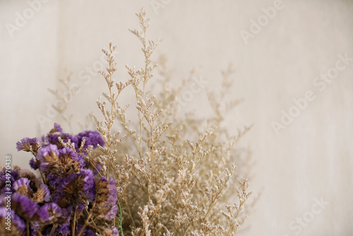 Dried brown and purple flower plant                              