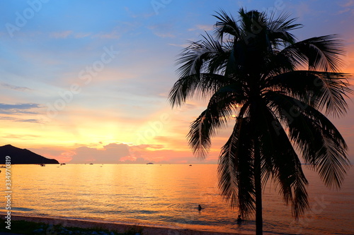 Coconut trees by the sea and tropical sky in the evening