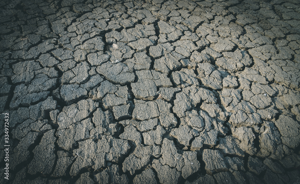The impact of global warming on sun-cracked soil and the loss of all fauna and flora. The impact of global warming on sun-cracked soil and the loss of all fauna and flora.