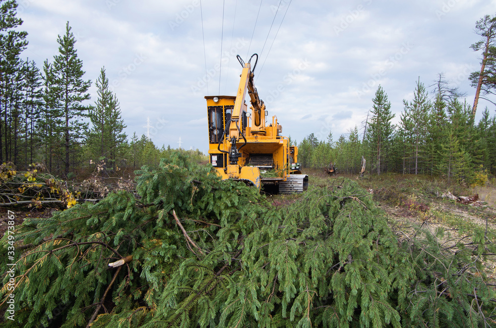 Bandit 2090 chipper. Clearing the felling site from branches. Bandit 2090 chipper. Clearing the felling site from branches.