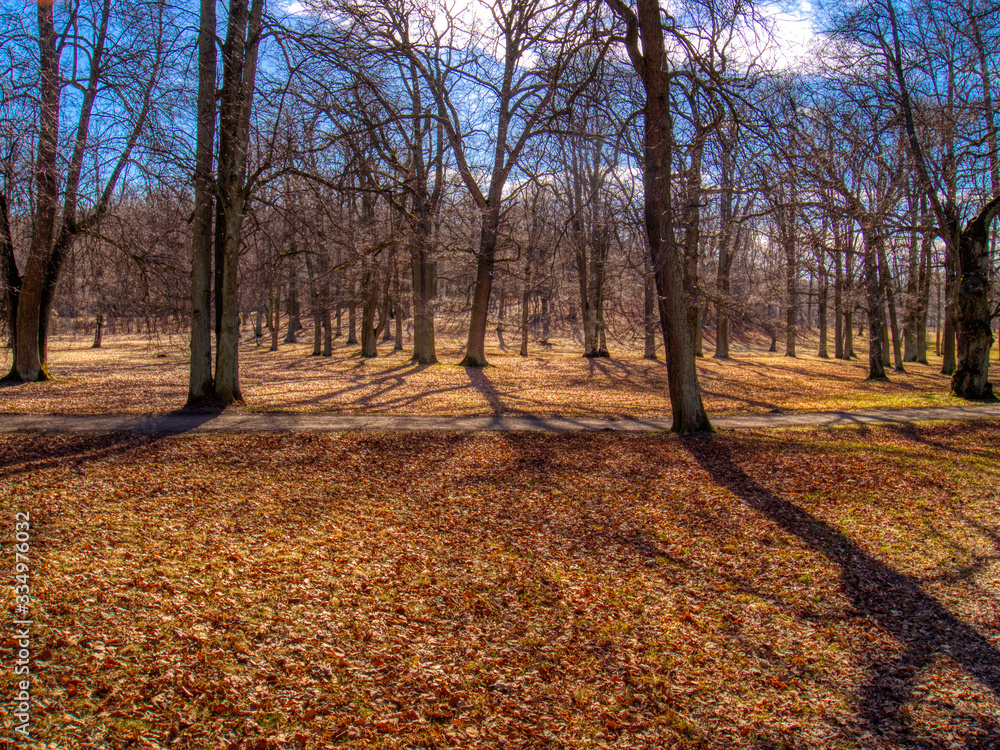 Obraz premium autumn in the park