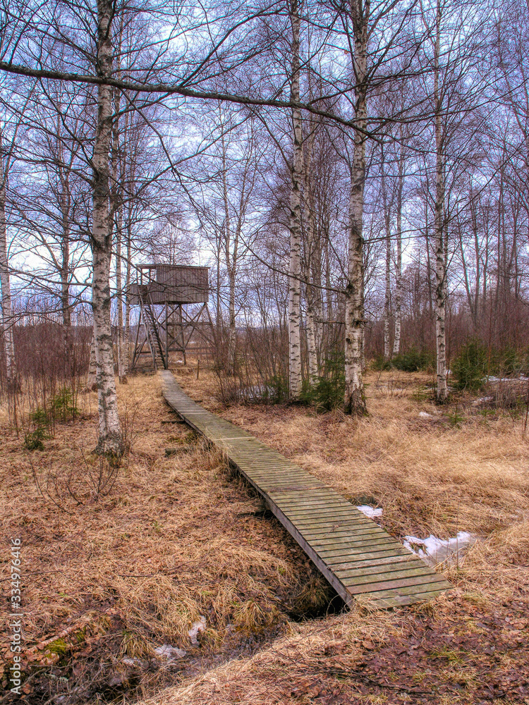 narrow wooden boardwalk leading to bird watching tower narrow wooden boardwalk leading to bird watching tower