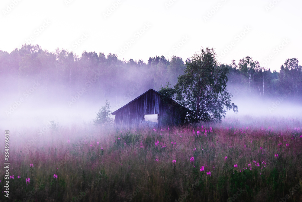 Old abandoned shed in a foggy meadow during a summer sunset in Sweden