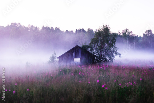 Old abandoned shed in a foggy meadow during a summer sunset in Sweden © Maria Bååth
