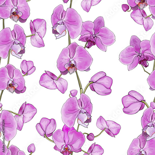 Floral seamless pattern with pink flowers orchid on white background. Hand drawn. Tropical plants for design, textile, print, wallpapers, wrapping paper. Vector stock illustration.