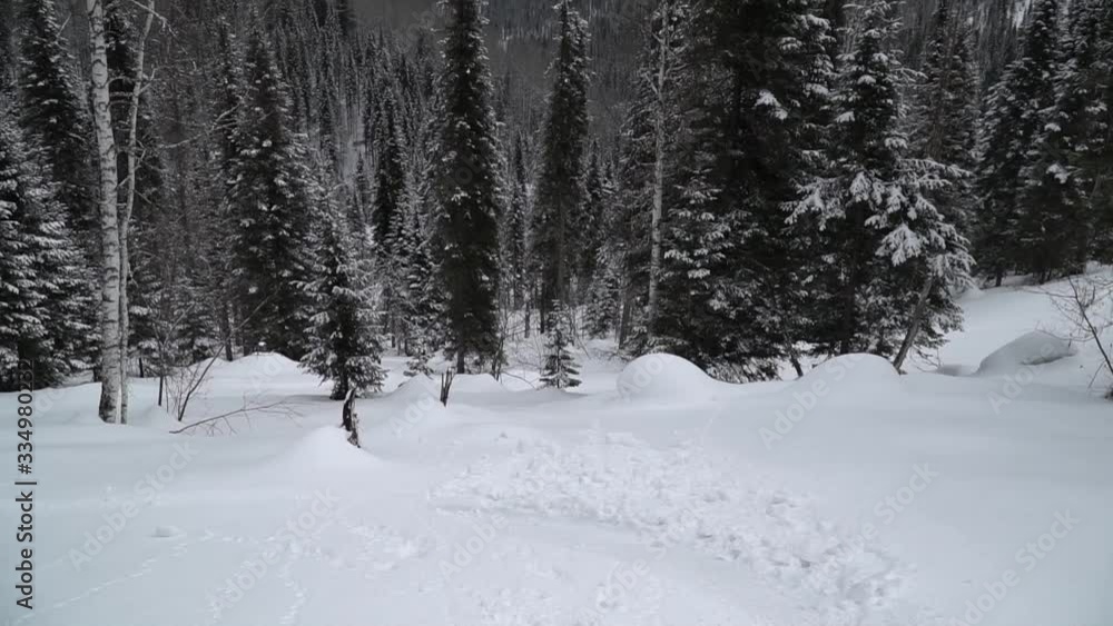walking on a mountain slope in spring walking on a mountain slope in spring