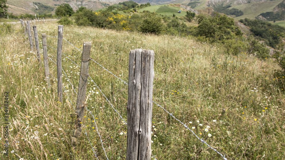 Fototapeta premium steccato