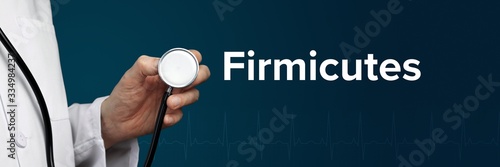 Firmicutes. Doctor in smock holds stethoscope. The word Firmicutes is next to it. Symbol of medicine, illness, health photo