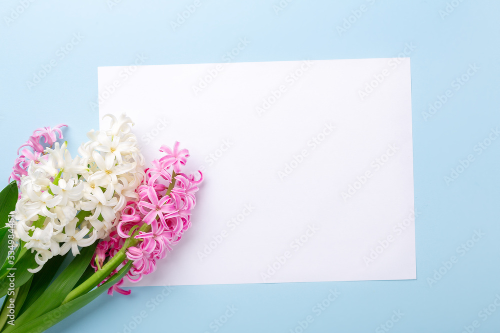 Spring mockup with multicolored hyacinths and blank of whitr paper on blue background. Easter concept. Copy space. Top view Spring mockup with multicolored hyacinths and blank of whitr paper on blue background. Easter concept. Copy space. Top view