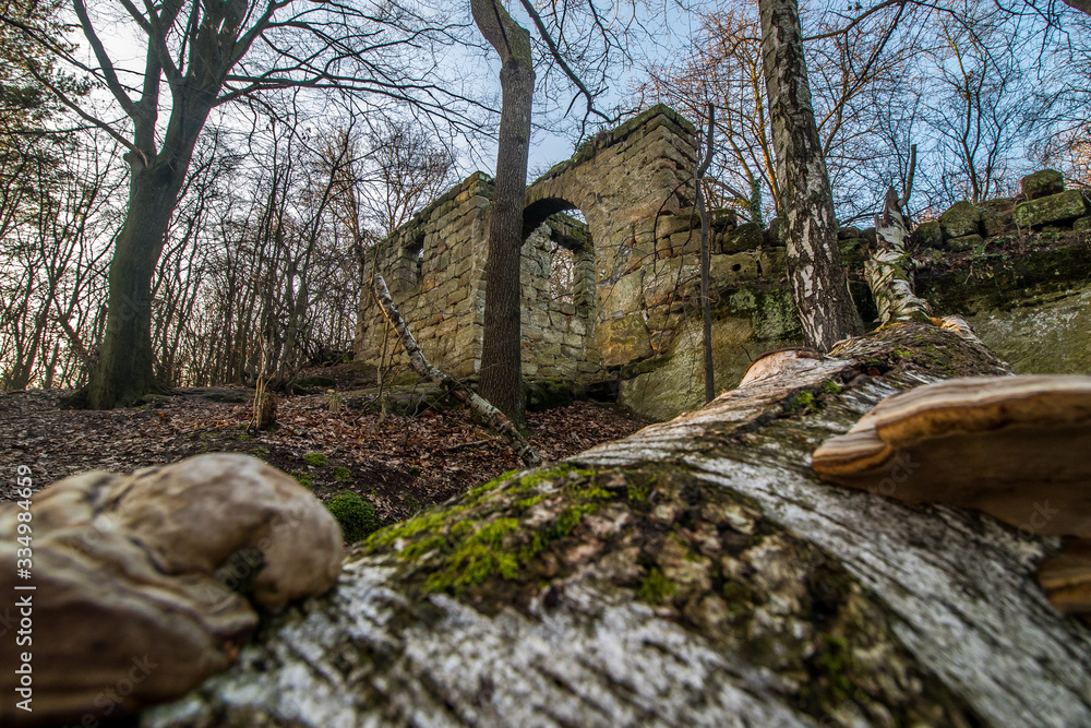 Spring mood in Bohemian Paradise by the ruined farmhouse