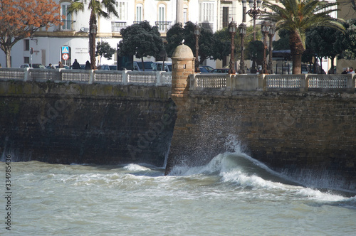 Alameda Apodaca, Cádiz 
 photo