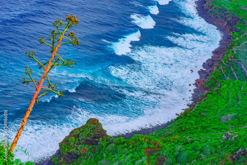 canary islands : La Palma, north island, costa tablado photo
