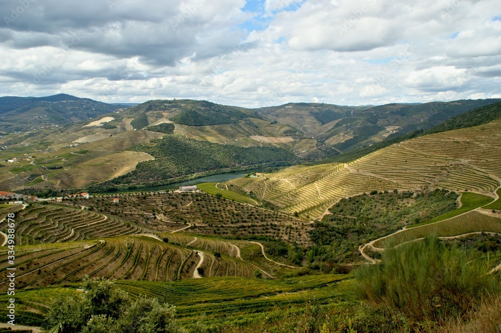Douro Valley, vineyards and landscape near Regua, Portugal
