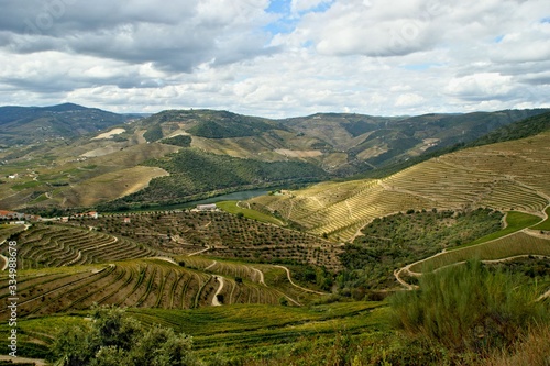Douro Valley, vineyards and landscape near Regua, Portugal