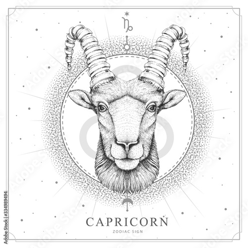 Modern magic witchcraft card with astrology Capricorn zodiac sign. Realistic hand drawing ram or mouflon head