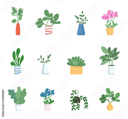 Houseplants flat color vector objects set. Decorative homeplants 2D isolated cartoon illustrations on white background. Different potted plants in vases, beautiful indoor decorations