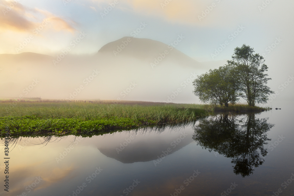 Group Of Trees By River On A Beautiful Misty Morning With Reflections. Lake District, UK.