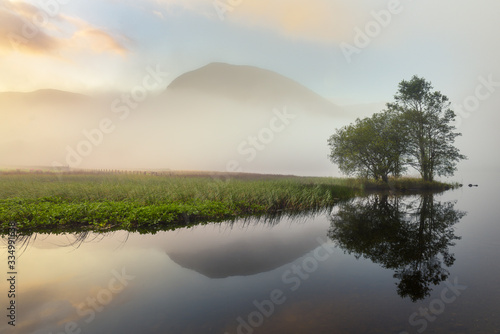 Group Of Trees By River On A Beautiful Misty Morning With Reflections. Lake District, UK. © _Danoz