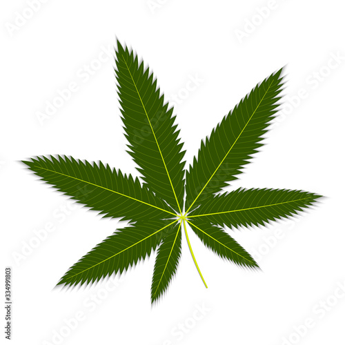 isolated green hemp leaf close-up on white background, vector illustration