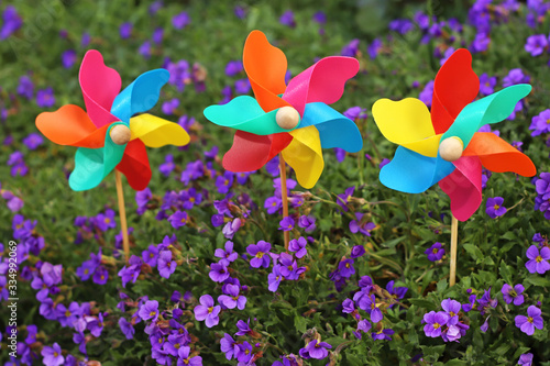 Fototapeta Naklejka Na Ścianę i Meble -  colorful pinwheel toys between blue flowers