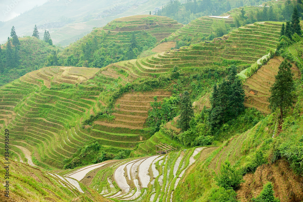 The Longsheng Rice Terraces