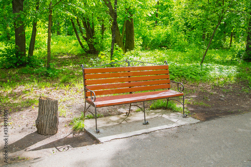 wooden bench in the summer city park