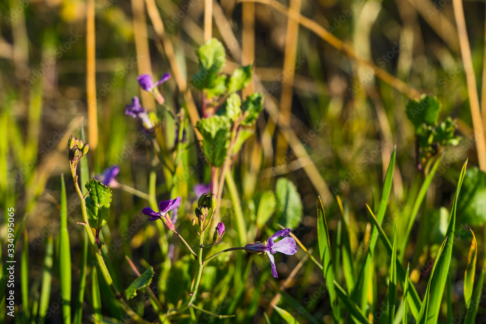 Natur Frühling Outdoor Sonne Flora Natur Frühling Outdoor Sonne Flora