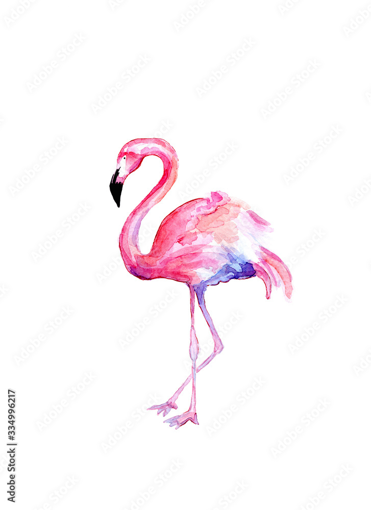 Fototapeta Watercolor draw of flamingo