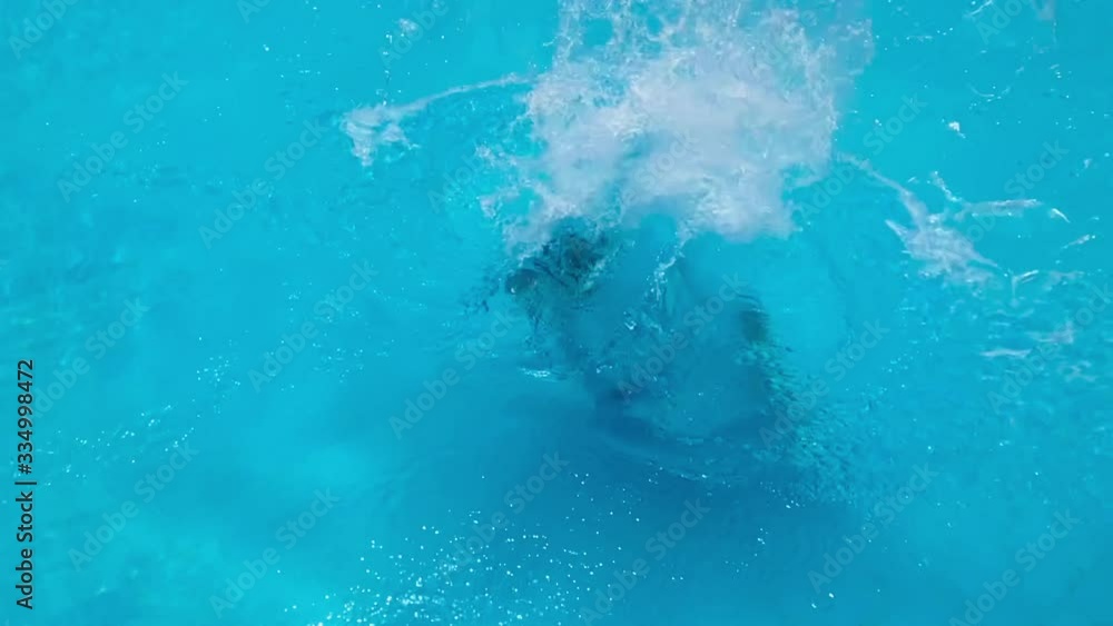 Time for summer swimming in the pool. Time for summer swimming in the pool.