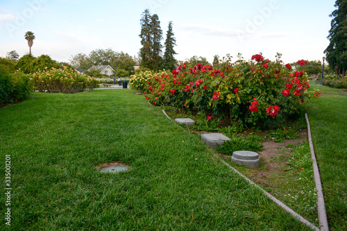 SAN JOSE, CALIFORNIA, USA - JULY 2, 2019: Municipal Rose Garden