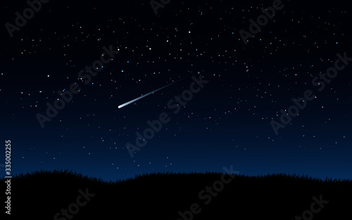 Canvas Print starry night sky