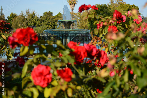 SAN JOSE, CALIFORNIA, USA - JULY 2, 2019: Municipal Rose Garden