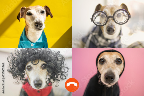 Photography funny copy online group chat conference