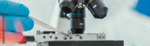 cropped view of biochemist holding tweezers near microscope, panoramic shot