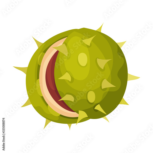 Chestnut with Thorned Shell and Brown Nut Inside Vector Illustration