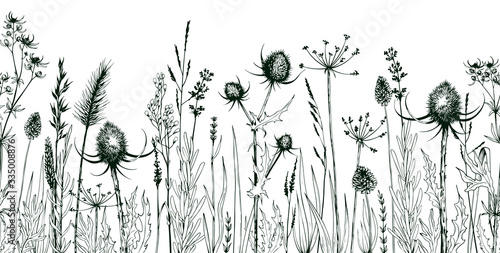 Seamless horizontally background with green wild herbs and flowers.