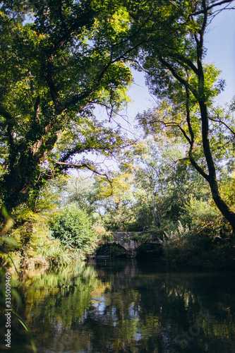 Old dark stone bridge across the river. bridge with reflection in the river among green trees.