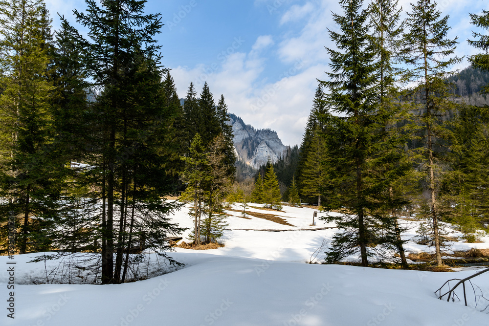 Landscape at Hohentauern in Austria in winter
