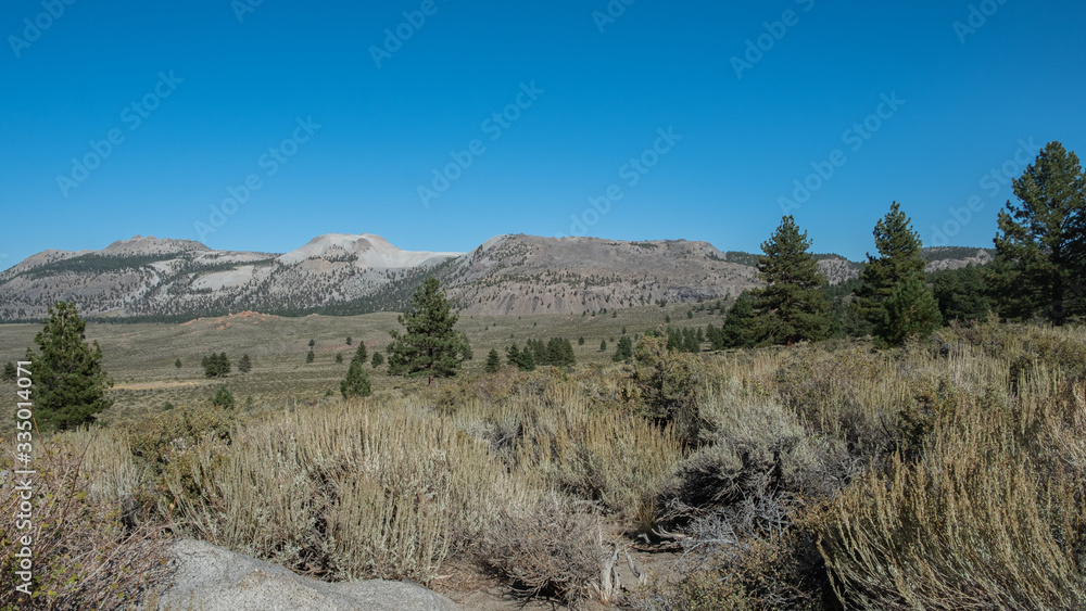 View on mountains and a meadow, California
