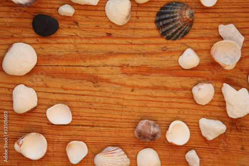 Small shells lie on a wooden Board. Top view. Flat lay. (ID: 335016613)