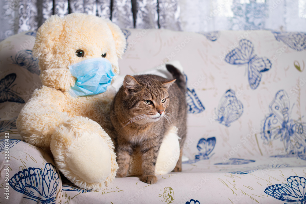 Sad Teddy bear in a protective mask sits on a soft sofa at home in quarantine with a taddy cat, Pets and friends: concept, isolation, stay at home
