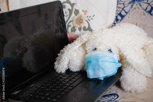 Sad plush fluffy white dog poodle in a protective mask. The dog was protected from the virus by a mask and education and working online, makes shopping over the Internet 