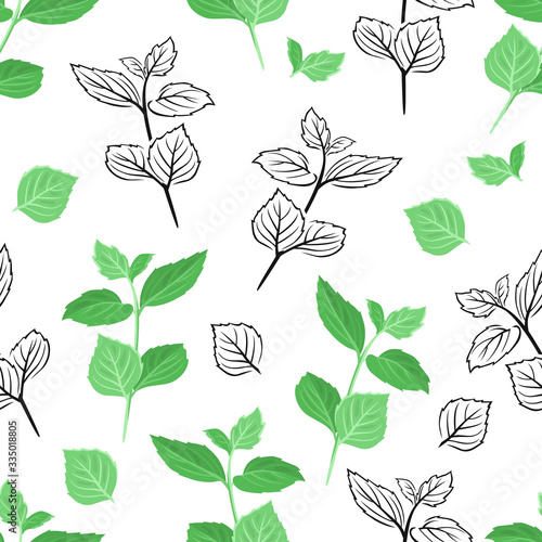 Mint leaf seamless pattern. Vector color illustration of green herb on  white background. Black and white outline. Peppermint leaves.