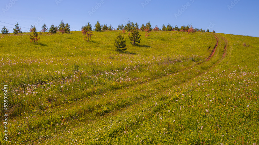 country road on hills overgrown with grass and sparse small trees