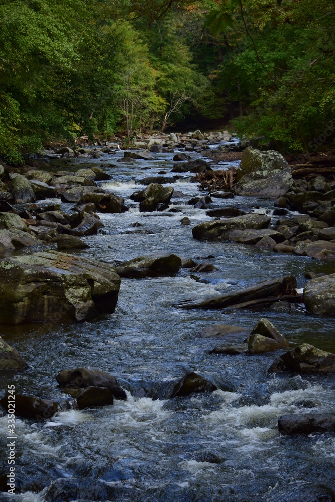 Creek in Rock Creek Park, Washington DC 1 Creek in Rock Creek Park, Washington DC 1