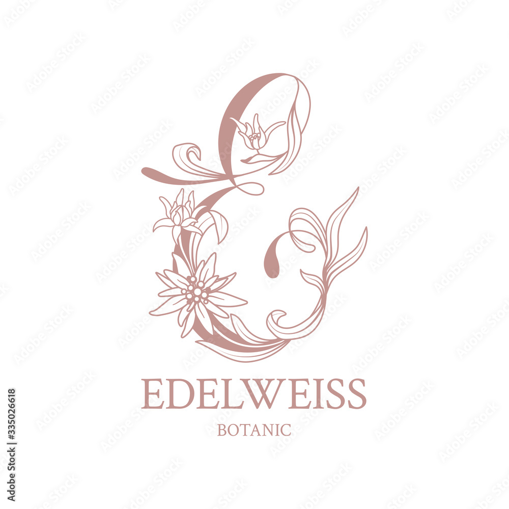 Edelweiss. Floral logo with elegant letter E. Drawn emblem for floral shops or studios, wedding florists, brand name, restaurant, boutique, hotel. Vector stock illustration on a white background.