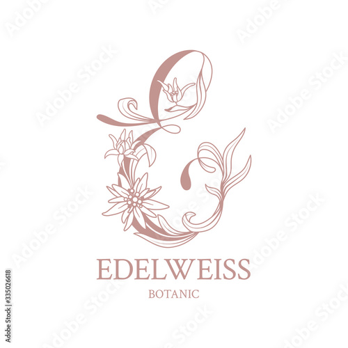 Edelweiss. Floral logo with elegant letter E. Drawn emblem for floral shops or studios, wedding florists, brand name, restaurant, boutique, hotel. Vector stock illustration on a white background.