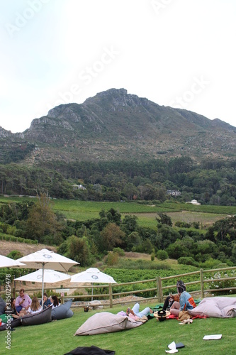 Cape Town Wine farm in the mountains